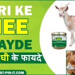 Bakri ka ghee ke fayde - बकरी का घी के फायदे Bakri ke ghee ke fayde - बकरी के घी के फायदे goat ghee benefits goat ghee benefits in hindi