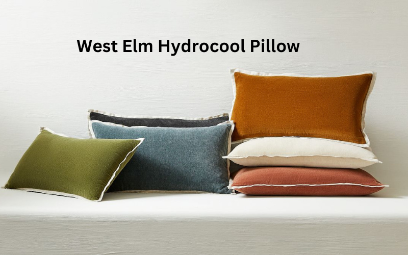 West Elm Hydrocool Pillow